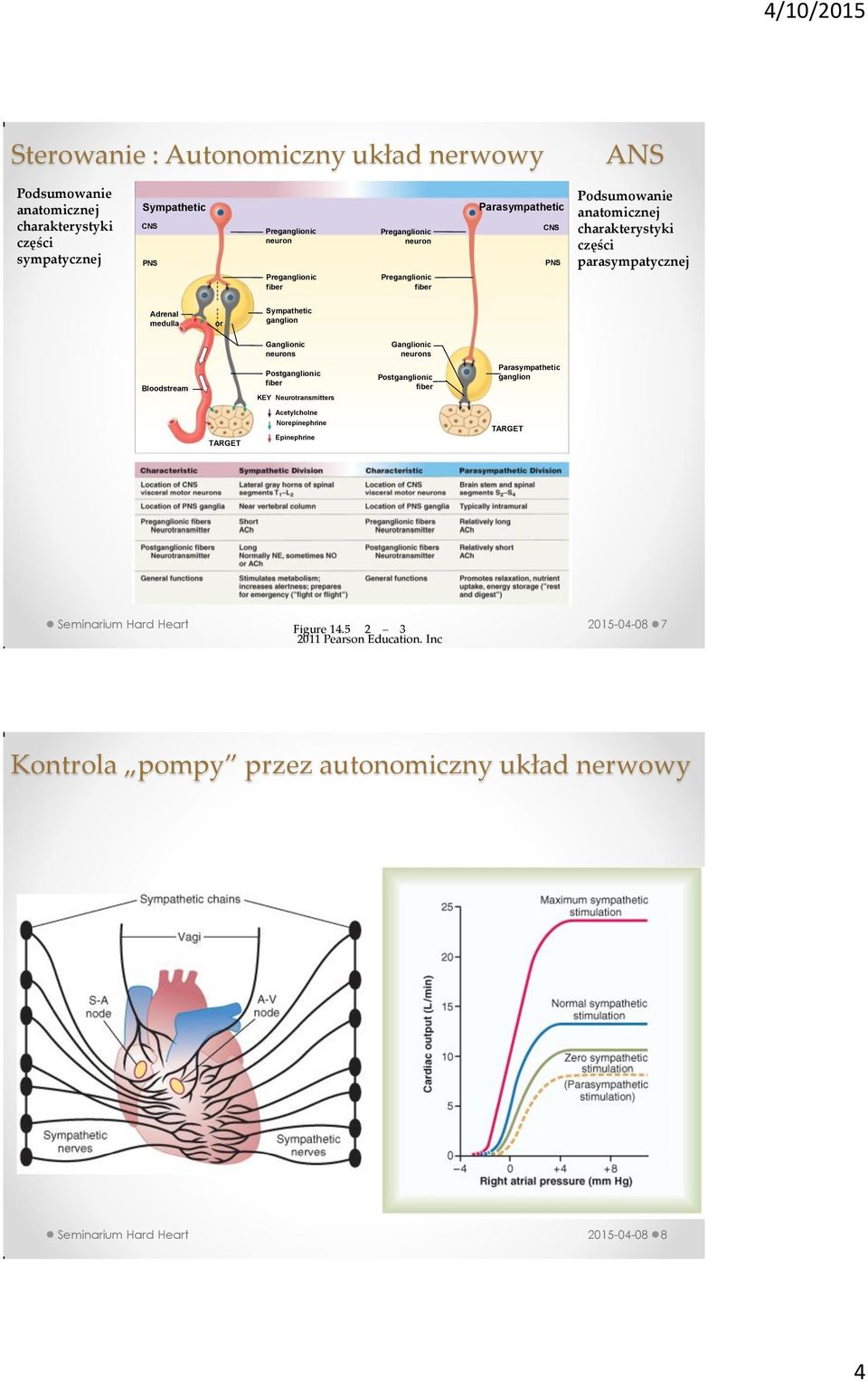 Ganglionic neurons Ganglionic neurons Bloodstream Postganglionic fiber KEY Neurotransmitters Postganglionic fiber Parasympathetic ganglion TARGET Acetylcholne Norepinephrine