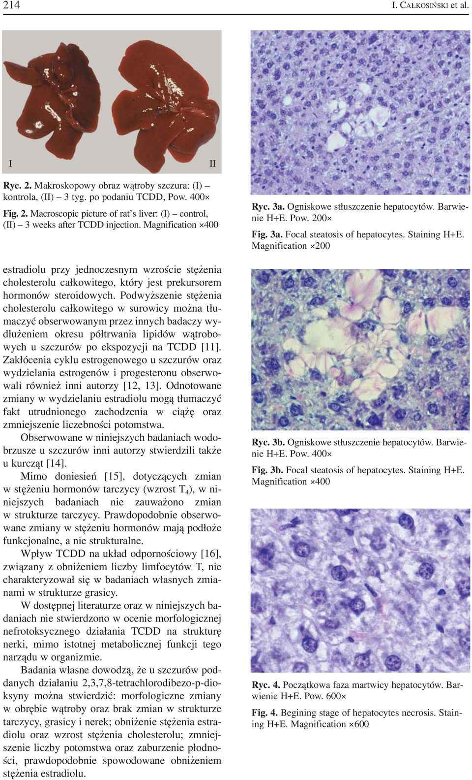 Podwyższenie stężenia cholesterolu całkowitego w surowicy można tłu maczyć obserwowanym przez innych badaczy wy dłużeniem okresu półtrwania lipidów wątrobo wych u szczurów po ekspozycji na TCDD [11].