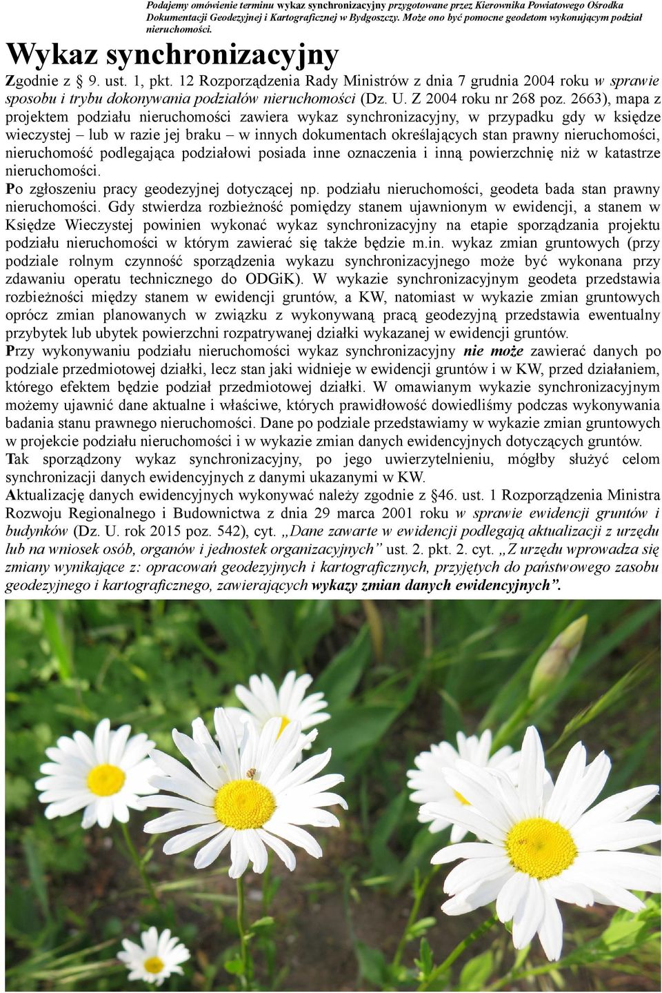 12 Rozporządzenia Rady Ministrów z dnia 7 grudnia 2004 roku w sprawie sposobu i trybu dokonywania podziałów nieruchomości (Dz. U. Z 2004 roku nr 268 poz.