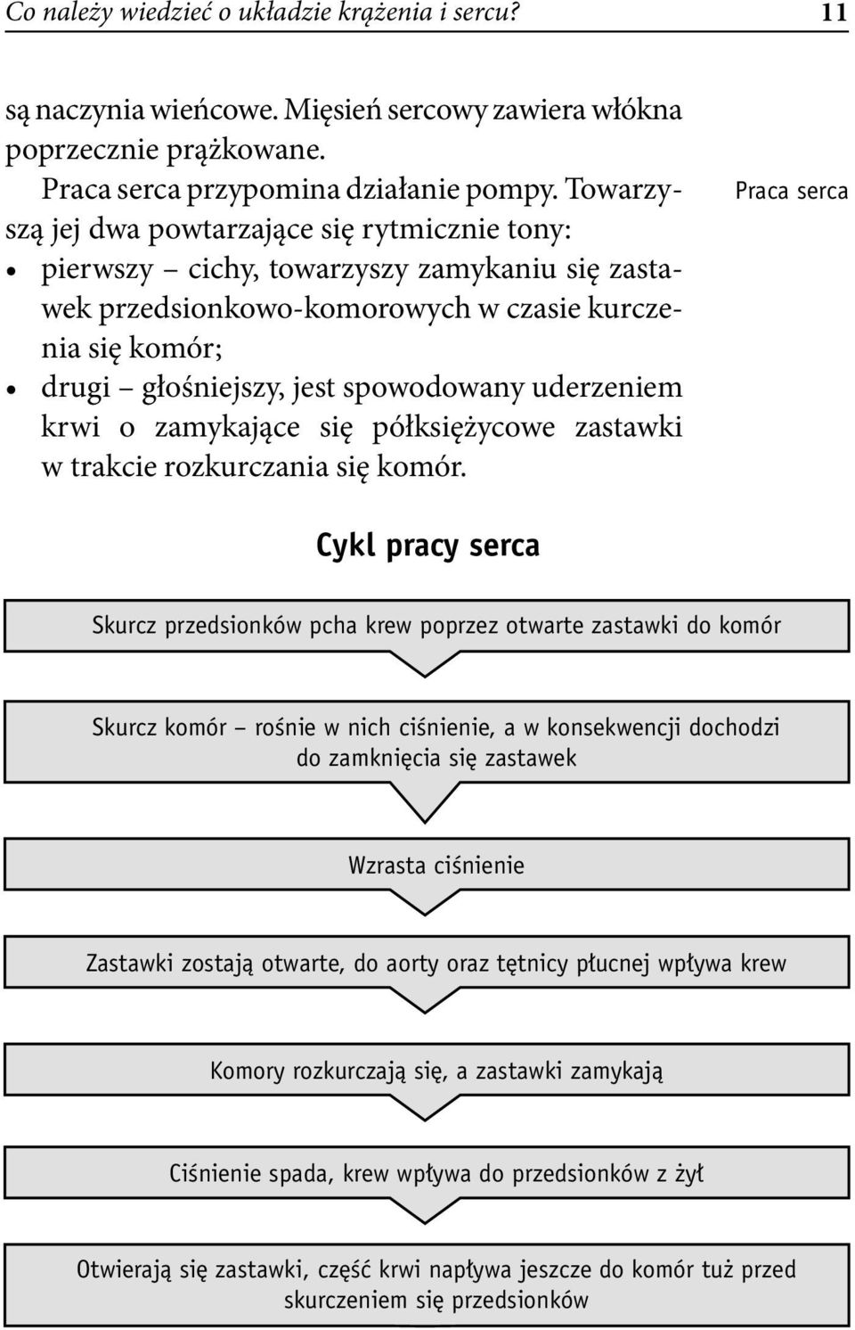 uderzeniem krwi o zamykające się półksiężycowe zastawki w trakcie rozkurczania się komór.