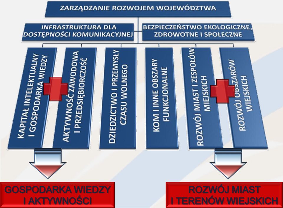 AKTYWNOŚCI