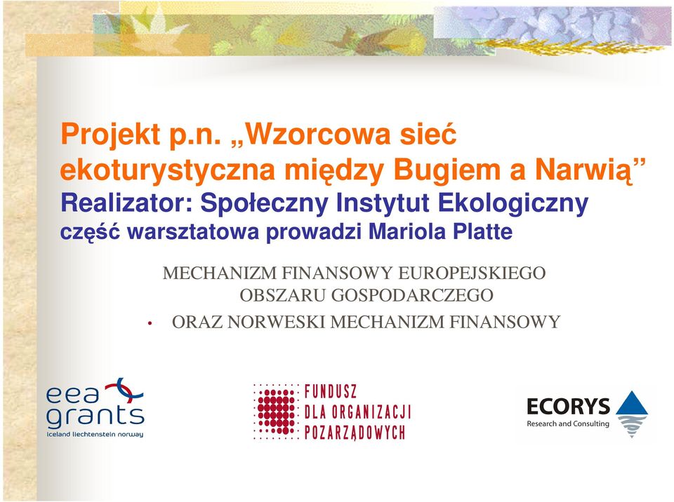 Realizator: Społeczny Instytut Ekologiczny część