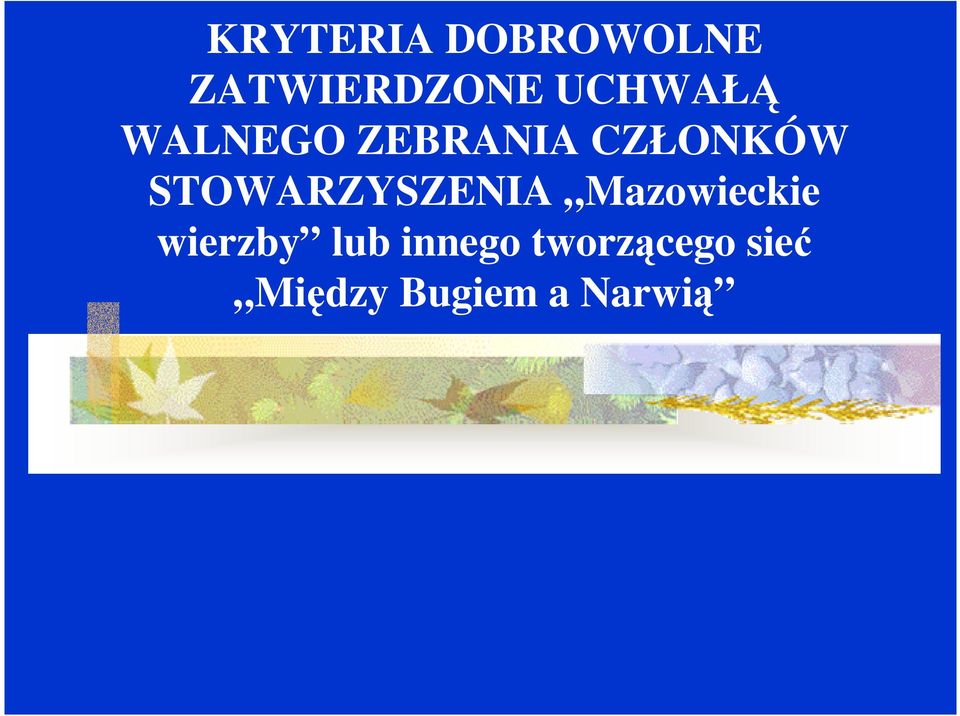 STOWARZYSZENIA Mazowieckie wierzby