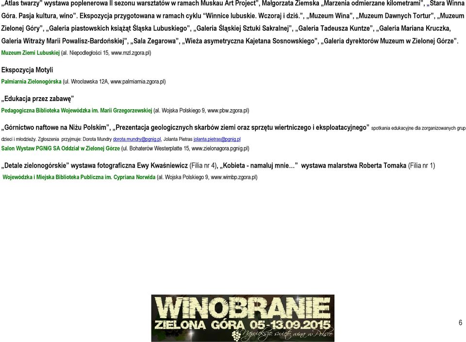 , Muzeum Wina, Muzeum Dawnych Tortur, Muzeum Zielonej Góry, Galeria piastowskich książąt Śląska Lubuskiego, Galeria Śląskiej Sztuki Sakralnej, Galeria Tadeusza Kuntze, Galeria Mariana Kruczka,