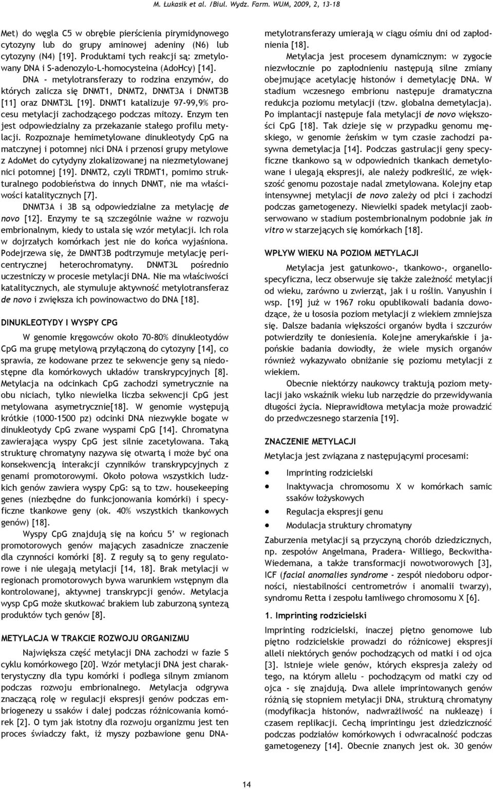 DMT1 katalizuje 97-99,9% procesu metylacji zachodzącego podczas mitozy. Enzym ten jest odpowiedzialny za przekazanie stałego profilu metylacji.