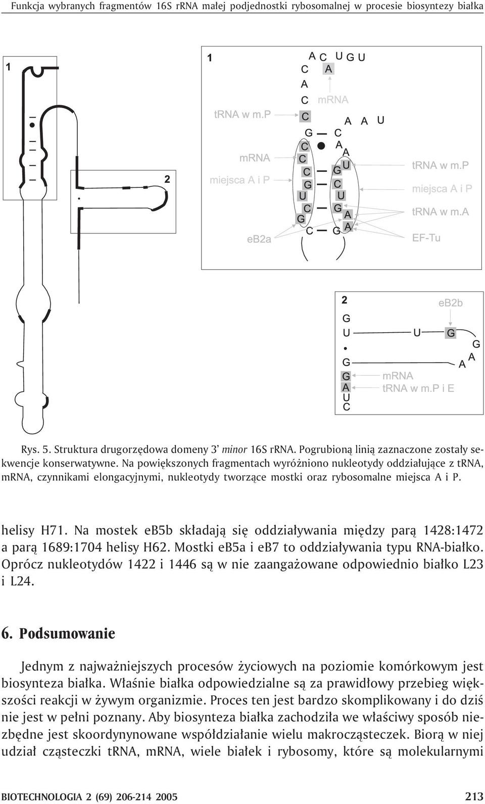 Na powiêkszonych fragmentach wyró niono nukleotydy oddzia³uj¹ce z trna, mrna, czynnikami elongacyjnymi, nukleotydy tworz¹ce mostki oraz rybosomalne miejsca A i P. helisy H71.