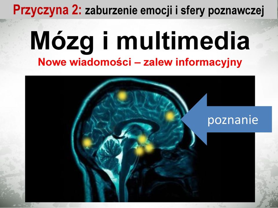Mózg i multimedia Nowe