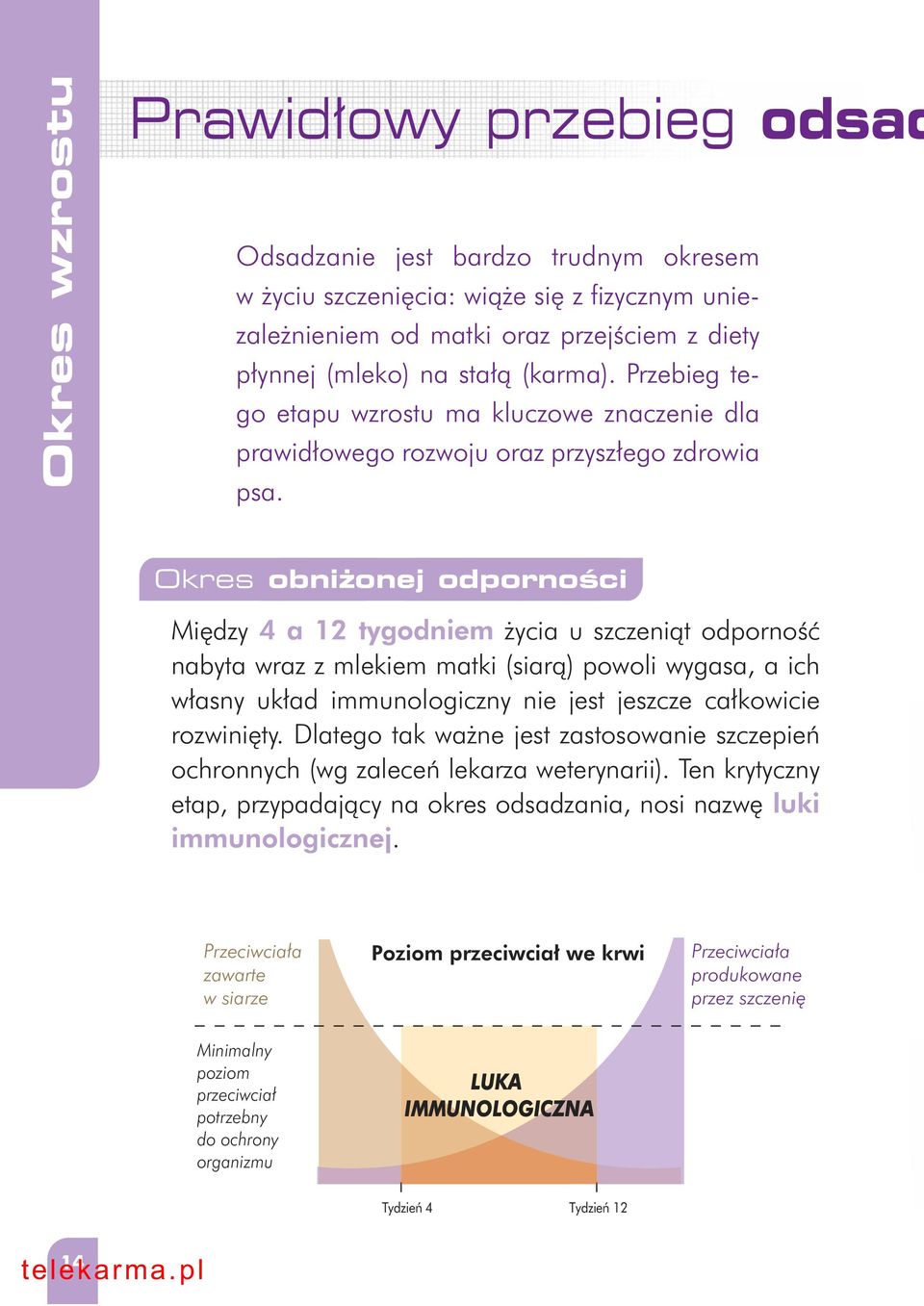 Okres obni onej odpornoêci Mi dzy 4 a 12 tygodniem ycia u szczeniàt odpornoêç nabyta wraz z mlekiem matki (siarà) powoli wygasa, a ich w asny uk ad immunologiczny nie jest jeszcze ca kowicie rozwini