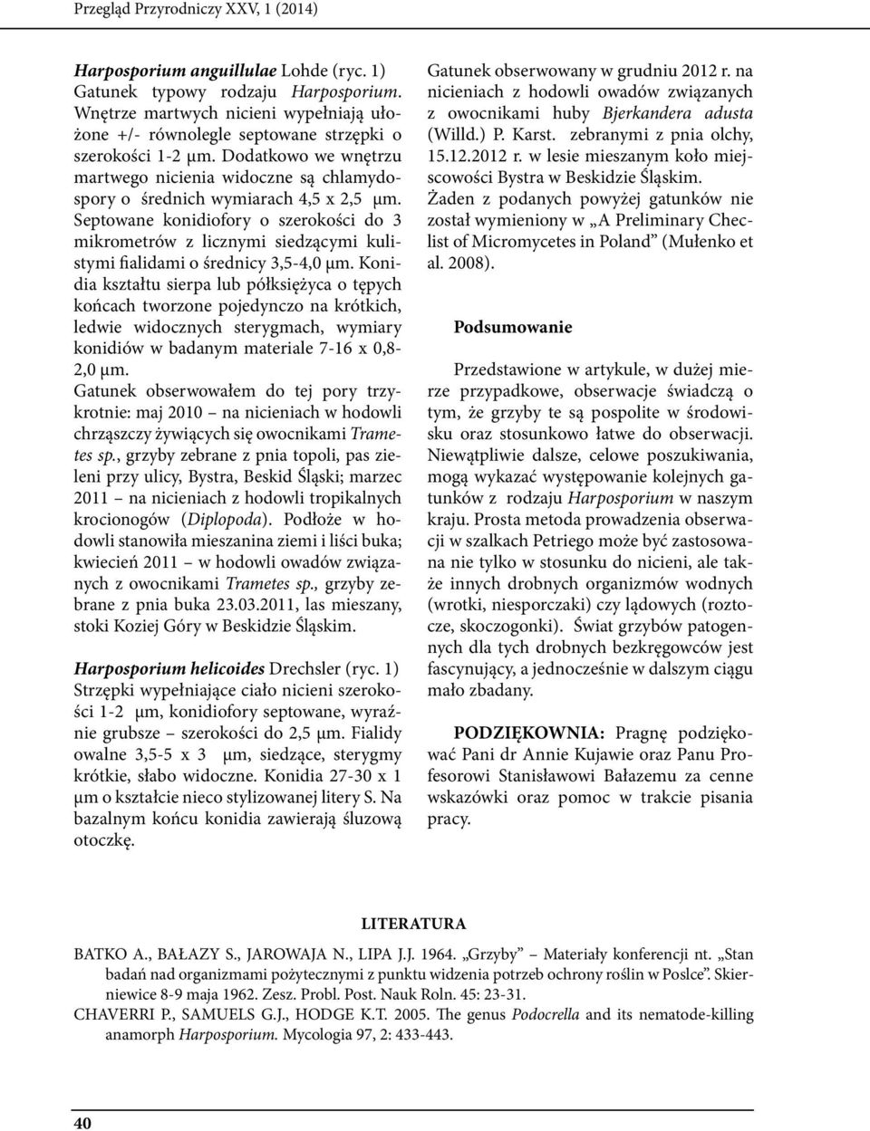 Septowane konidiofory o szerokości do 3 mikrometrów z licznymi siedzącymi kulistymi fialidami o średnicy 3,5-4,0 μm.
