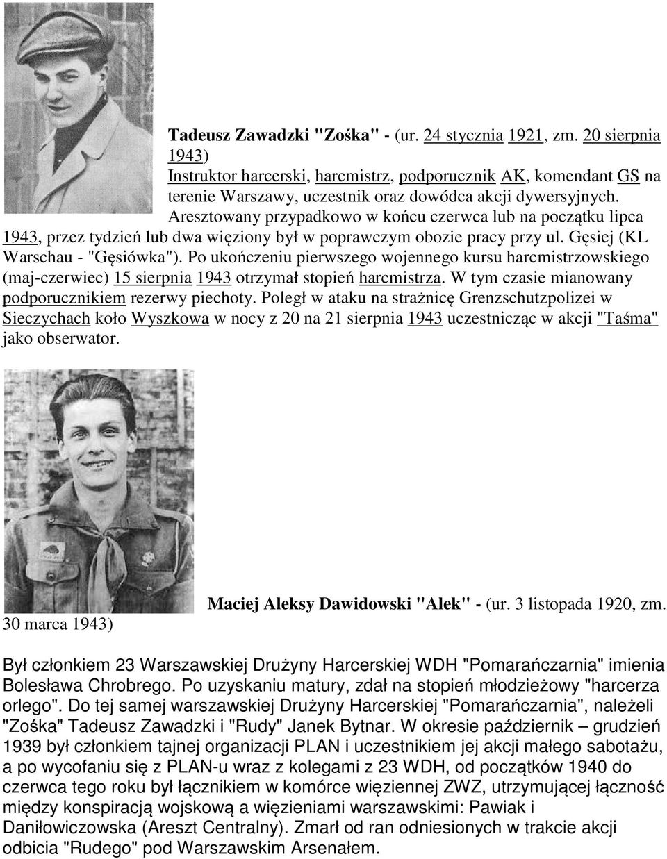 Po ukończeniu pierwszego wojennego kursu harcmistrzowskiego (maj-czerwiec) 15 sierpnia 1943 otrzymał stopień harcmistrza. W tym czasie mianowany podporucznikiem rezerwy piechoty.