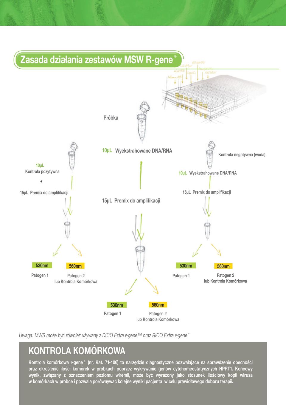 Komórkowa Uwaga: MWS może być również używany z DICO Extra r-gene oraz RICO Extra r-gene KONTROLA KOMÓRKOWA Kontrola komórkowa r-gene (nr. Kat.