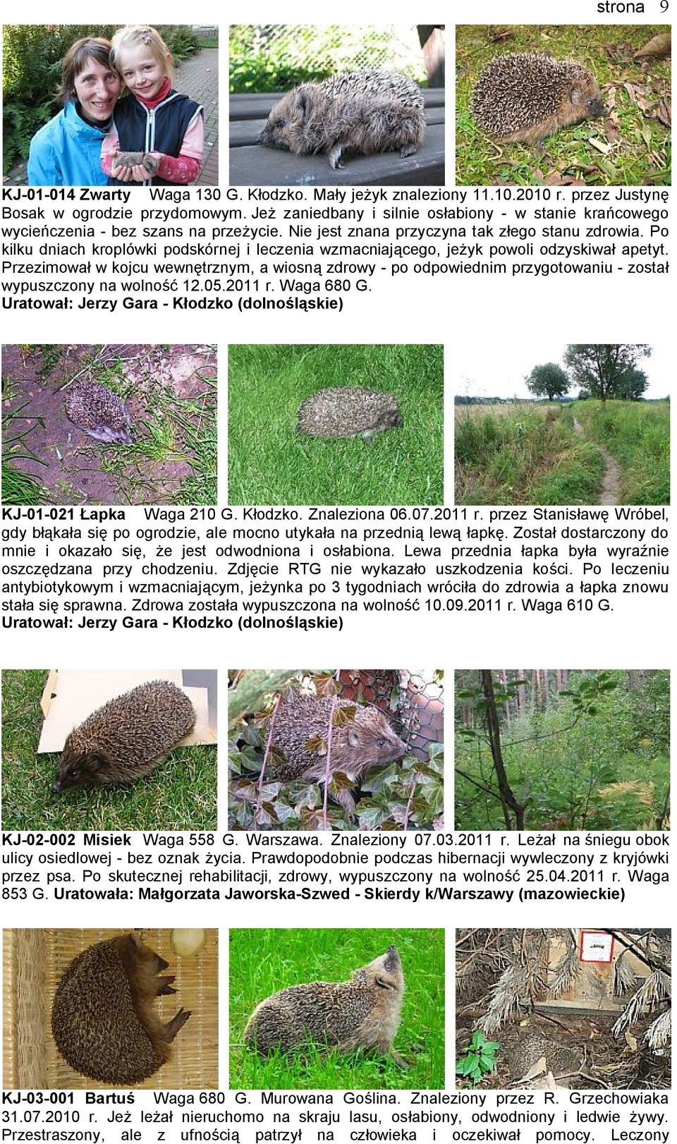 Po kilku dniach kroplówki podskórnej i leczenia wzmacniającego, jeżyk powoli odzyskiwał apetyt.