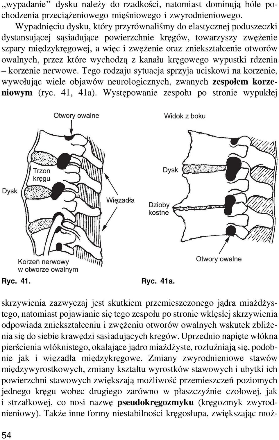 otworów owalnych, przez które wychodzą z kanału kręgowego wypustki rdzenia korzenie nerwowe.