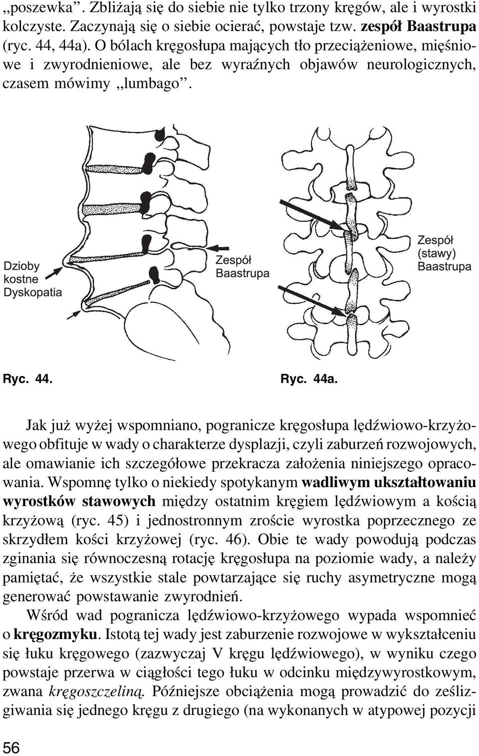 Jak już wyżej wspomniano, pogranicze kręgosłupa lędźwiowo-krzyżowego obfituje w wady o charakterze dysplazji, czyli zaburzeń rozwojowych, ale omawianie ich szczegółowe przekracza założenia