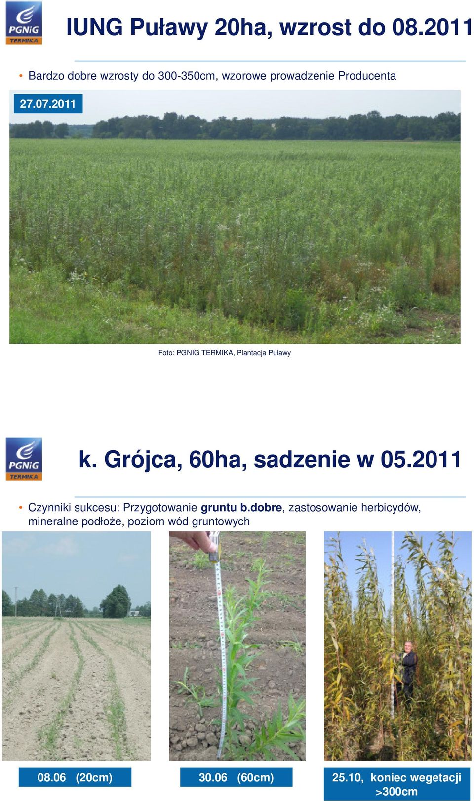 2011 Foto: PGNIG TERMIKA, Plantacja Puławy k. Grójca, 60ha, sadzenie w 05.