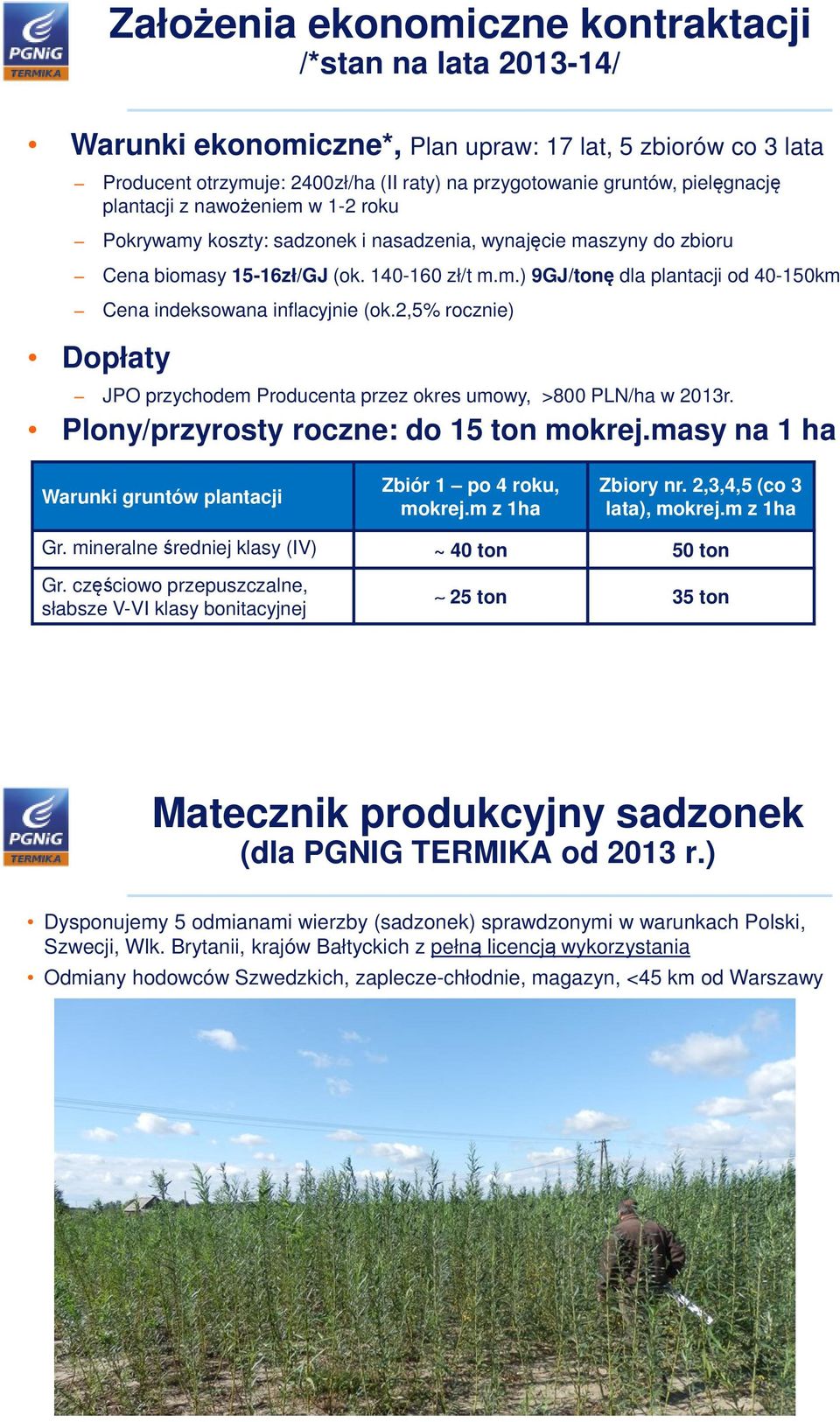 2,5% rocznie) JPO przychodem Producenta przez okres umowy, >800 PLN/ha w 2013r. Plony/przyrosty roczne: do 15 ton mokrej.masy na 1 ha Warunki gruntów plantacji Zbiór 1 po 4 roku, mokrej.