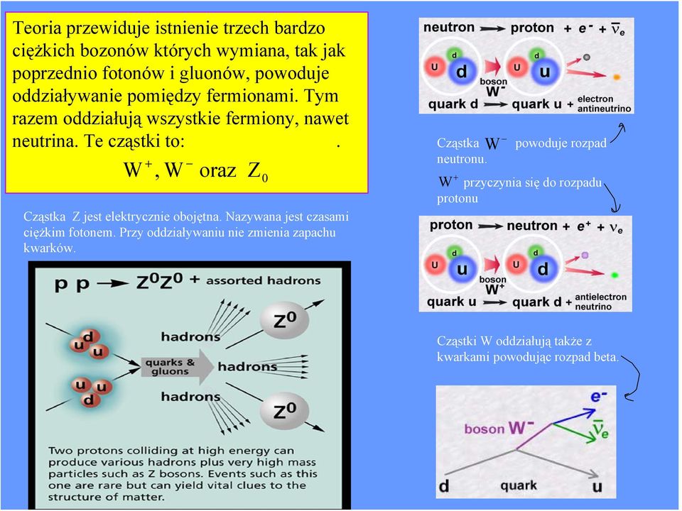 W +, W oraz Z 0 Cząstka Z jest elektrycznie obojętna. Nazywana jest czasami ciężkim fotonem.