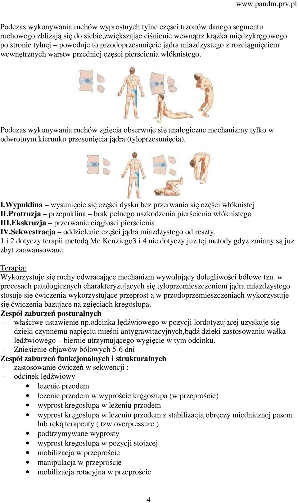 Podczas wykonywania ruchów zgięcia obserwuje się analogiczne mechanizmy tylko w odwrotnym kierunku przesunięcia jądra (tyłoprzesunięcia). I.