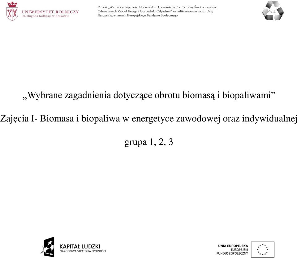 Biomasa i biopaliwa w energetyce