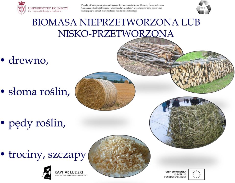 BIOMASA NIEPRZETWORZONA LUB