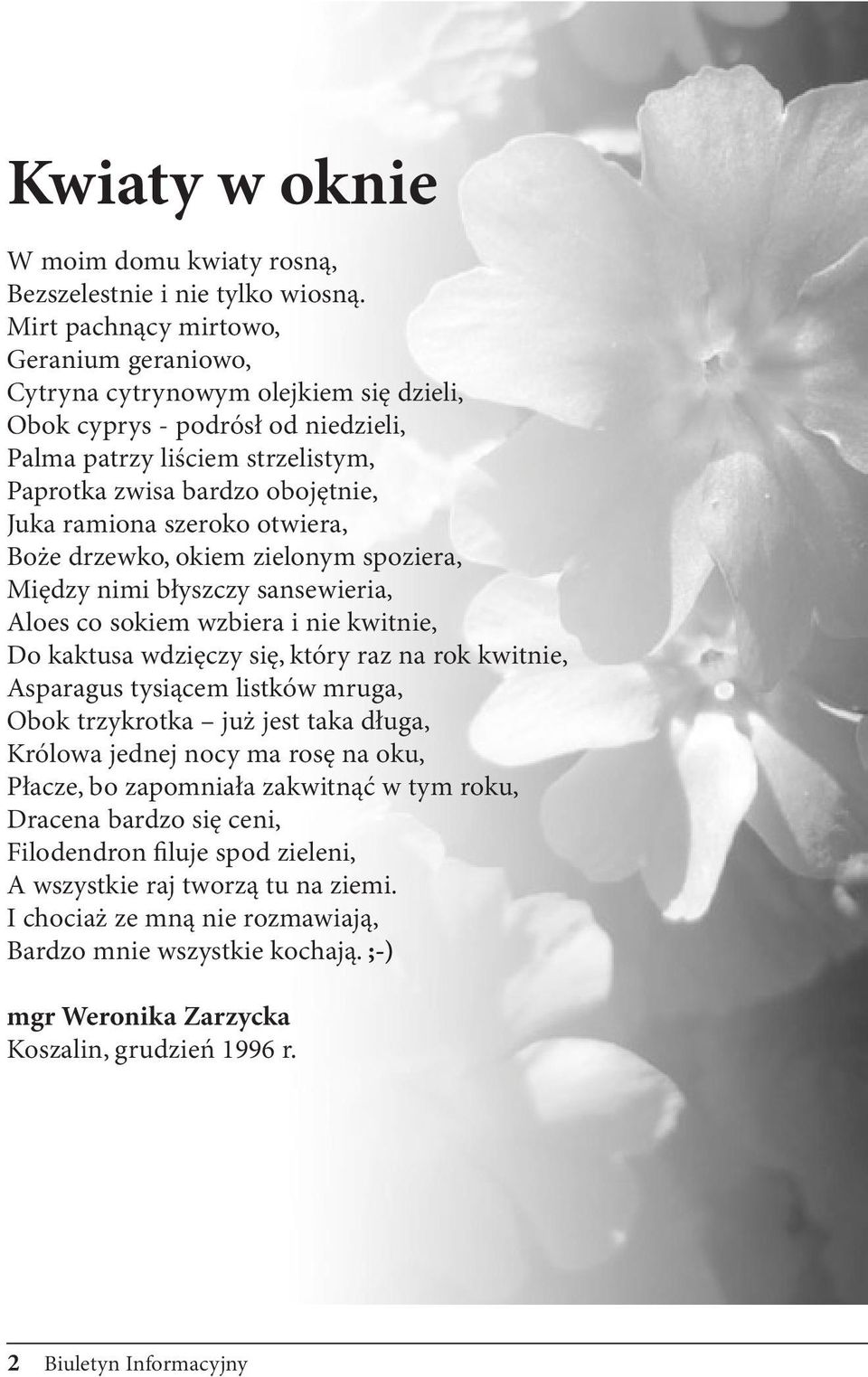 szeroko otwiera, Boże drzewko, okiem zielonym spoziera, Między nimi błyszczy sansewieria, Aloes co sokiem wzbiera i nie kwitnie, Do kaktusa wdzięczy się, który raz na rok kwitnie, Asparagus tysiącem
