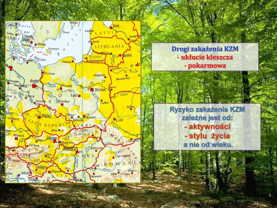 zakażenia KZM zależne jest od: -