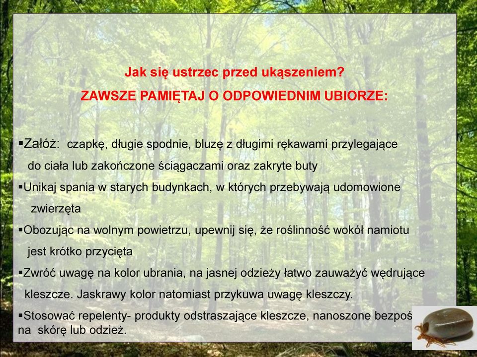 zakryte buty Unikaj spania w starych budynkach, w których przebywają udomowione zwierzęta Obozując na wolnym powietrzu, upewnij się, że roślinność
