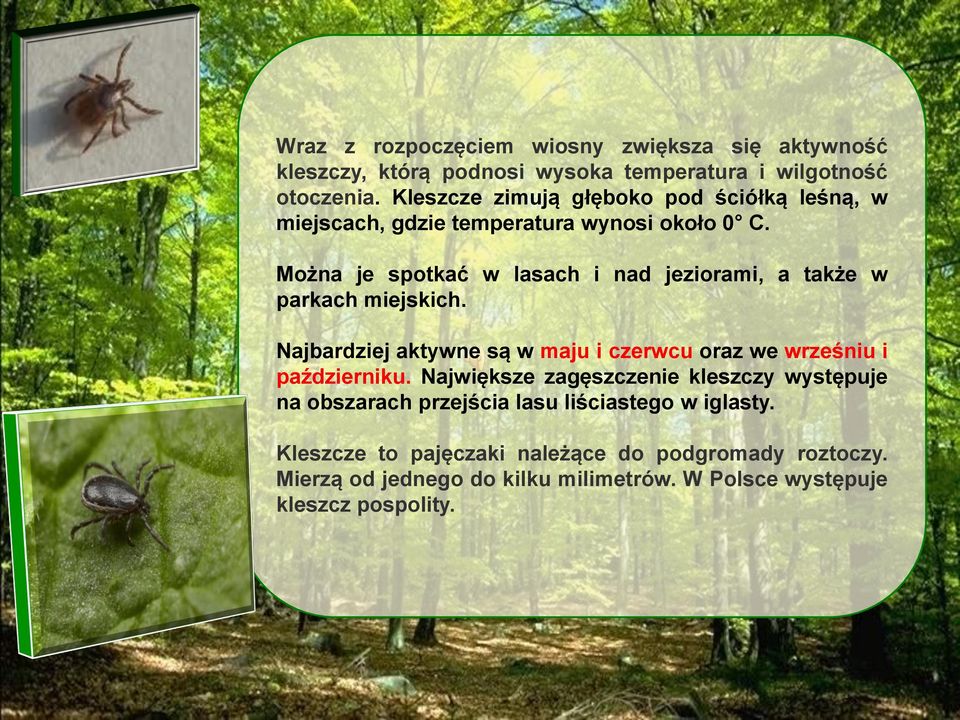 Można je spotkać w lasach i nad jeziorami, a także w parkach miejskich. Najbardziej aktywne są w maju i czerwcu oraz we wrześniu i październiku.