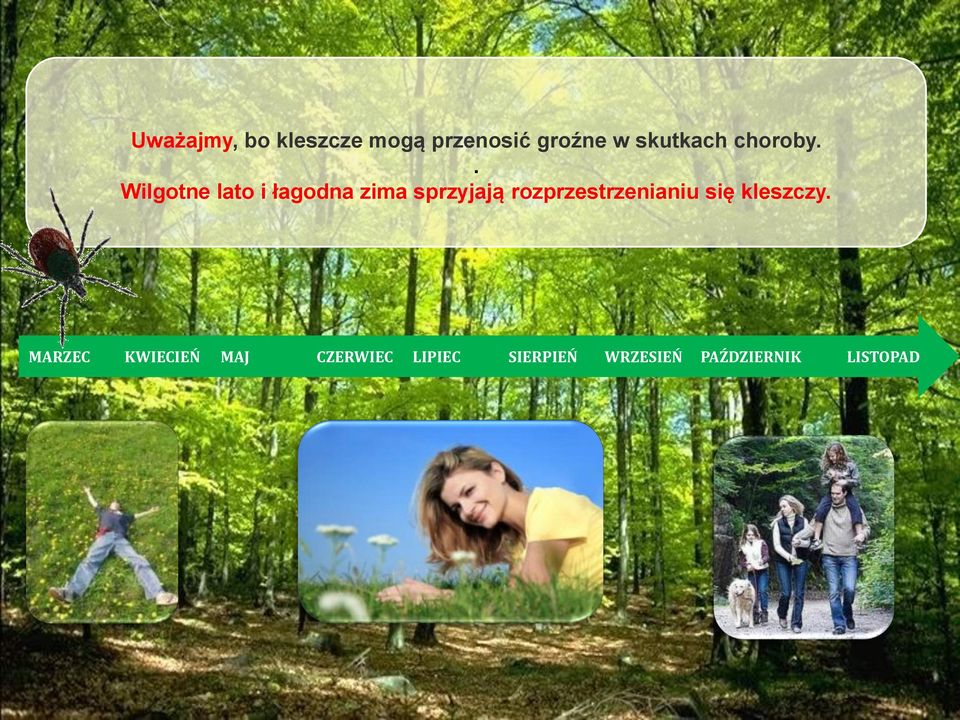 . Wilgotne lato i łagodna zima sprzyjają