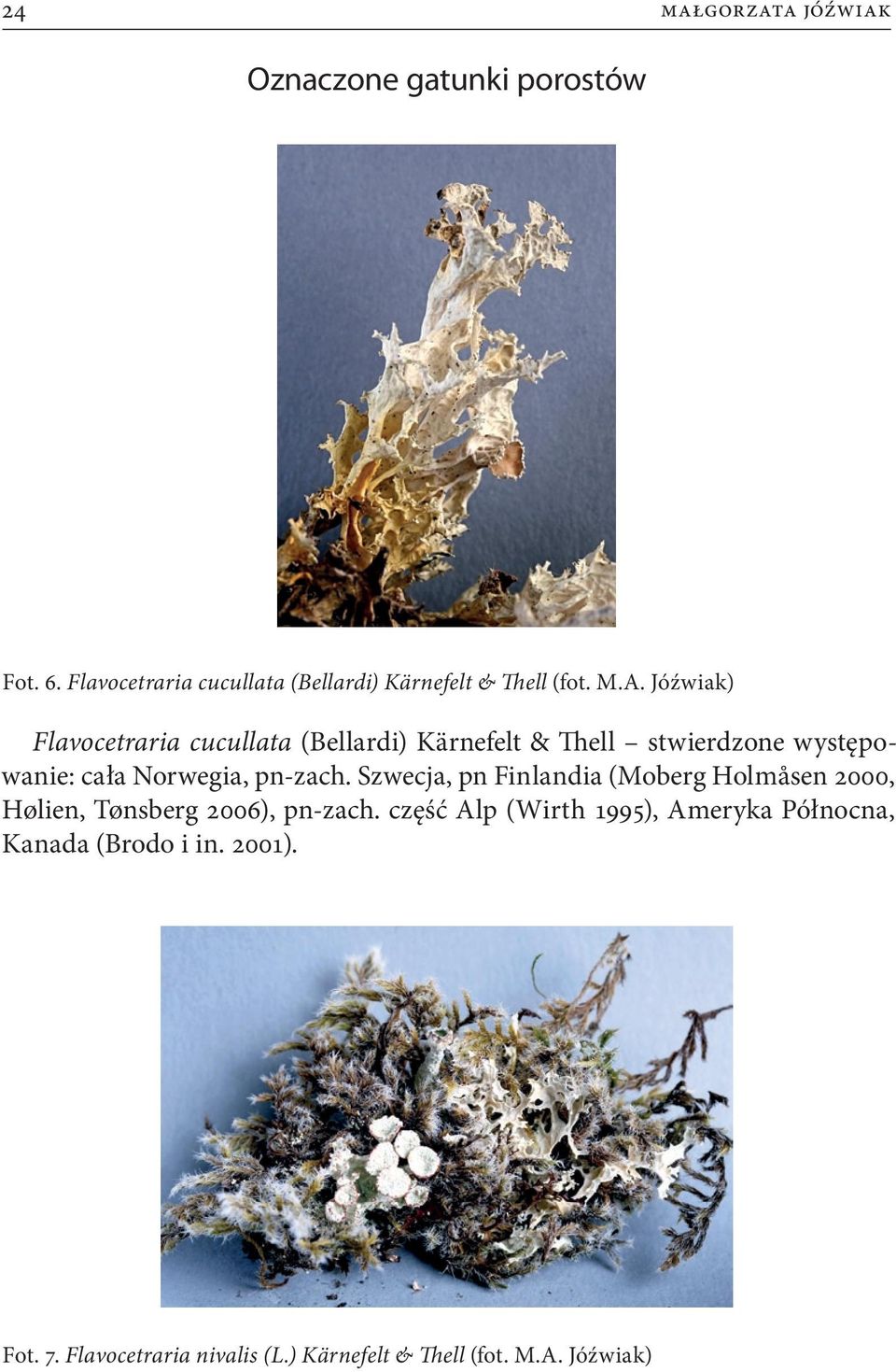 Jóźwiak) Flavocetraria cucullata (Bellardi) Kärnefelt & Thell stwierdzone występowanie: cała Norwegia, pn-zach.