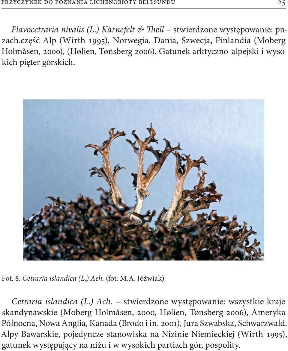 Cetraria islandica (L.) Ach.
