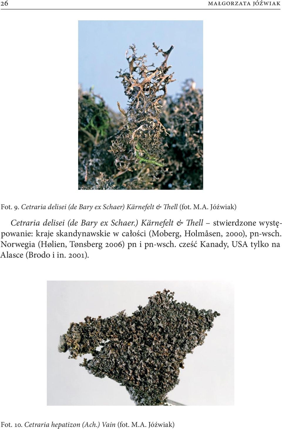 ) Kärnefelt & Thell stwierdzone występowanie: kraje skandynawskie w całości (Moberg, Holmåsen, 2000),