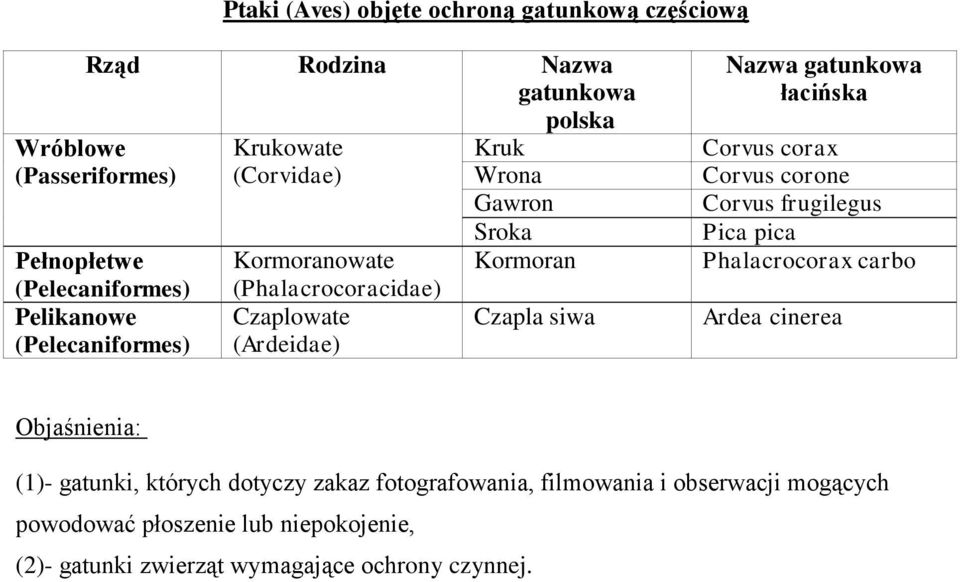 corax Corvus corone Corvus frugilegus Pica pica Phalacrocorax carbo Ardea cinerea Objaśnienia: (1)- gatunki, których dotyczy zakaz