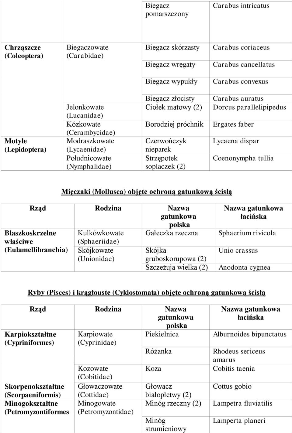 Strzępotek soplaczek Carabus auratus Dorcus parallelipipedus Ergates faber Lycaena dispar Coenonympha tullia Mięczaki (Mollusca) objęte ochroną gatunkową ścisłą Blaszkoskrzelne właściwe