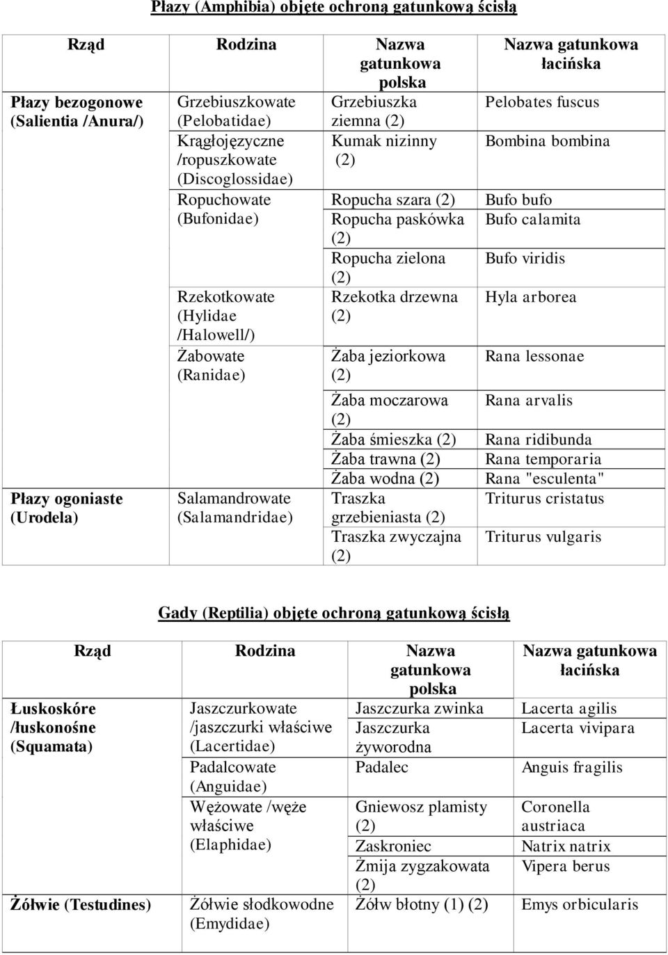 jeziorkowa Żaba moczarowa Żaba śmieszka Żaba trawna Żaba wodna Traszka grzebieniasta Traszka zwyczajna Pelobates fuscus Bombina bombina Bufo bufo Bufo calamita Bufo viridis Hyla arborea Rana lessonae