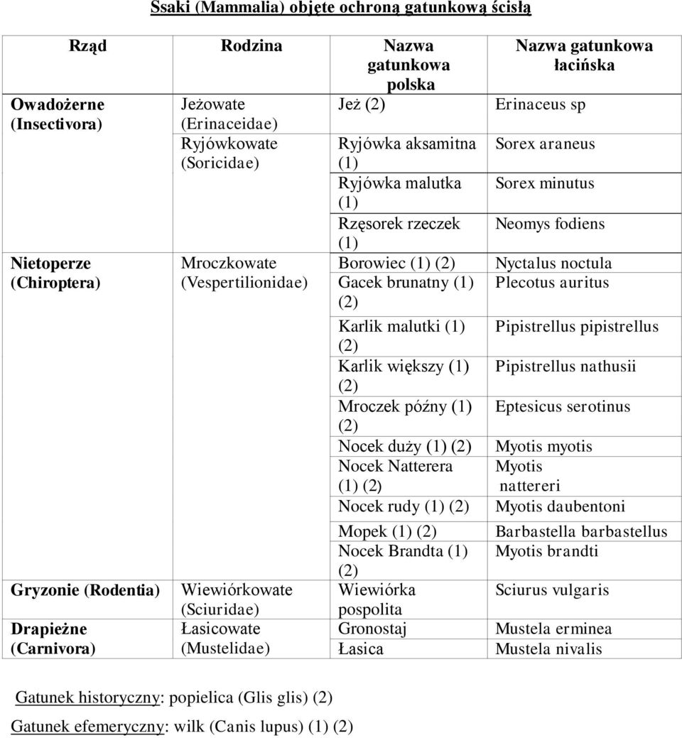większy (1) Mroczek późny (1) Nocek duży (1) Nocek Natterera (1) Nocek rudy (1) Mopek (1) Nocek Brandta (1) Wiewiórka pospolita Gronostaj Łasica Erinaceus sp Sorex araneus Sorex minutus Neomys