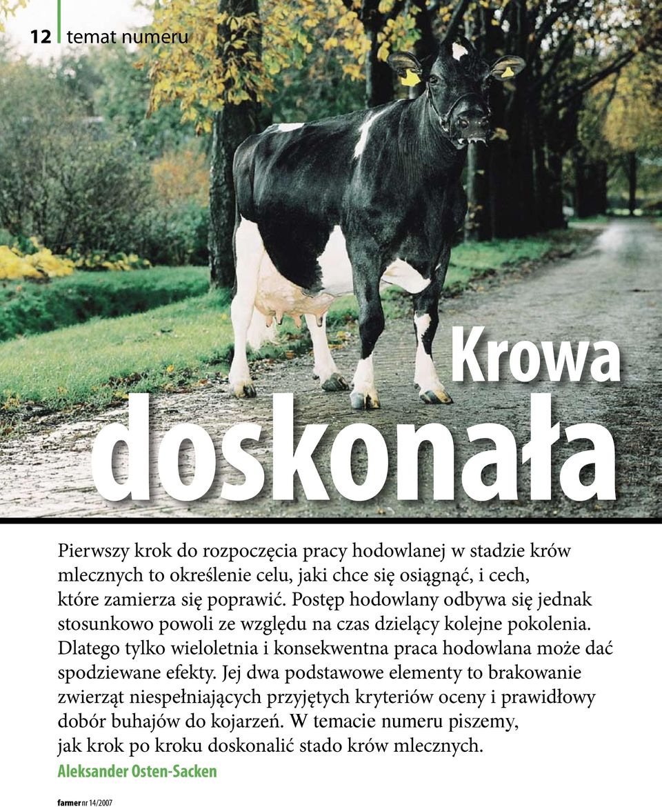 Dlatego tylko wieloletnia i konsekwentna praca hodowlana może dać spodziewane efekty.