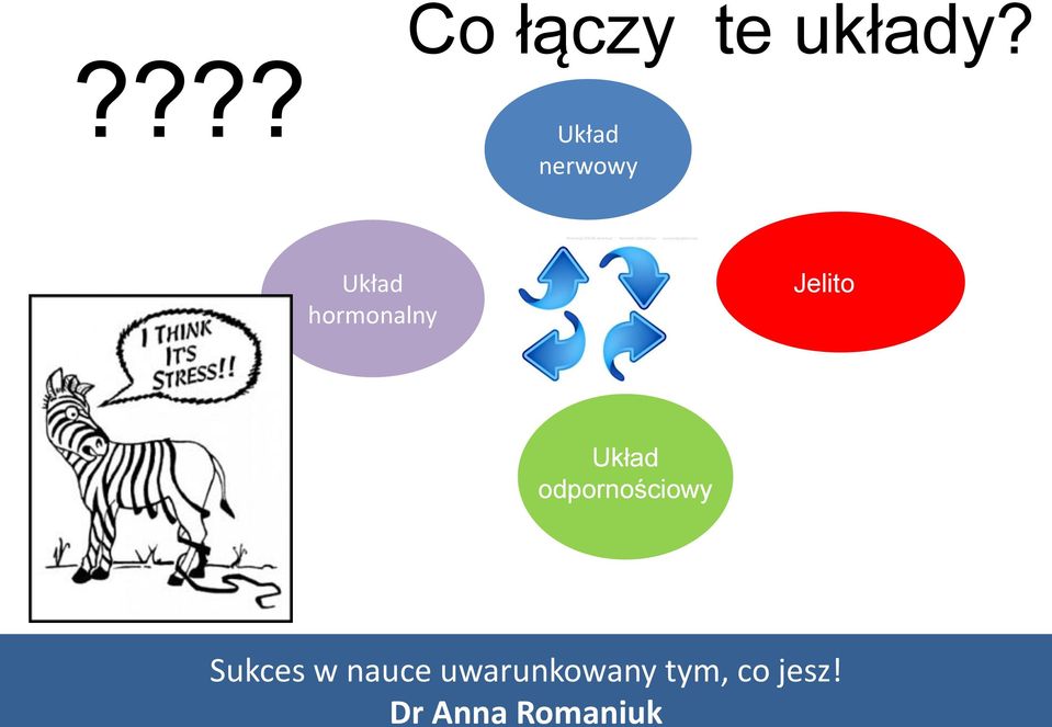 hormonalny Jelito