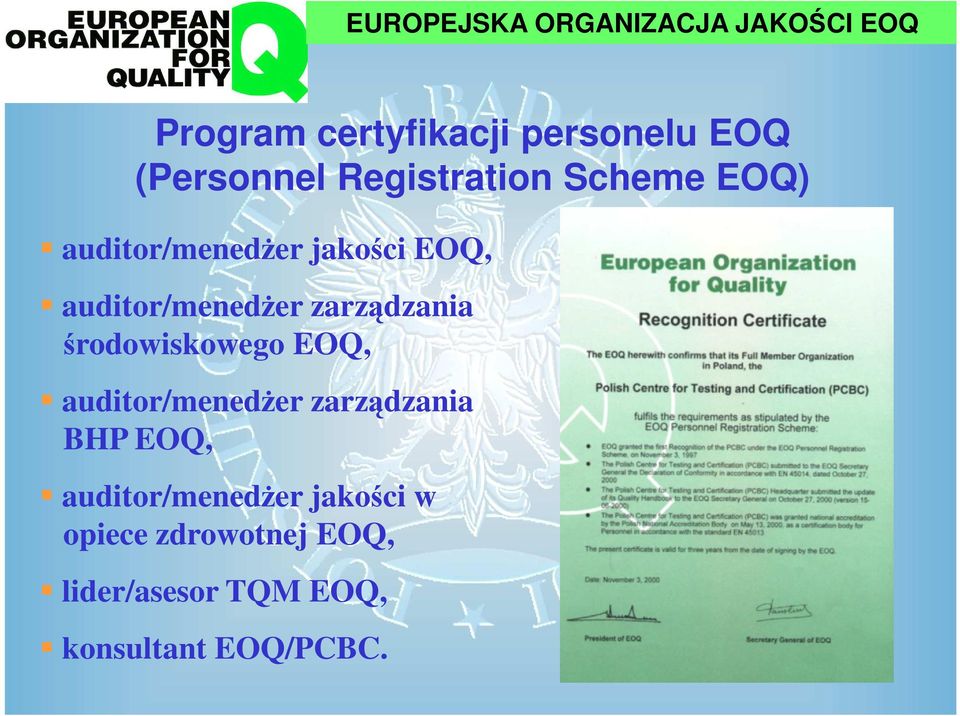 auditor/menedżer zarządzania środowiskowego EOQ, auditor/menedżer zarządzania