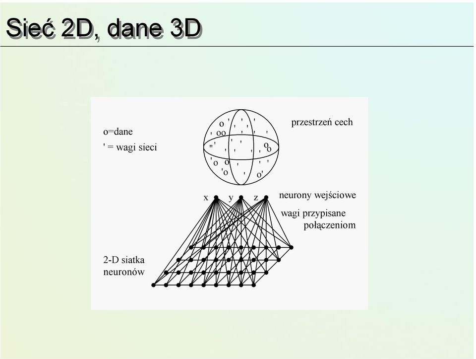 'o ' o' przestrzeń cech x y z neurony