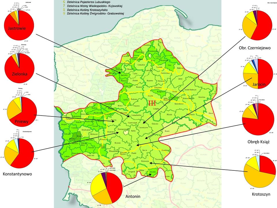 g5, og5 Zielonka Lł1 Lł2 Lł3 LMb2 Osb Bb1,BMb1 Obr.