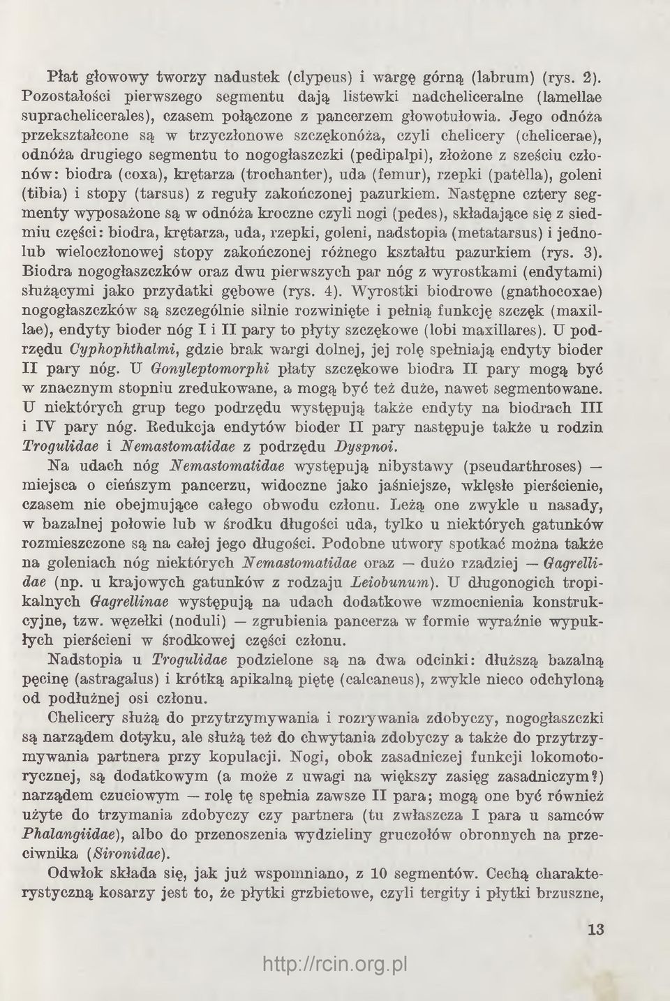 Jego odnóża przekształcone są w trzyczłonowe szczękonóża, czyli chelicery (cłielicerae), odnóża drugiego segmentu to nogogłaszczki (pedipalpi), złożone z sześciu członów: biodra (coxa), krętarza