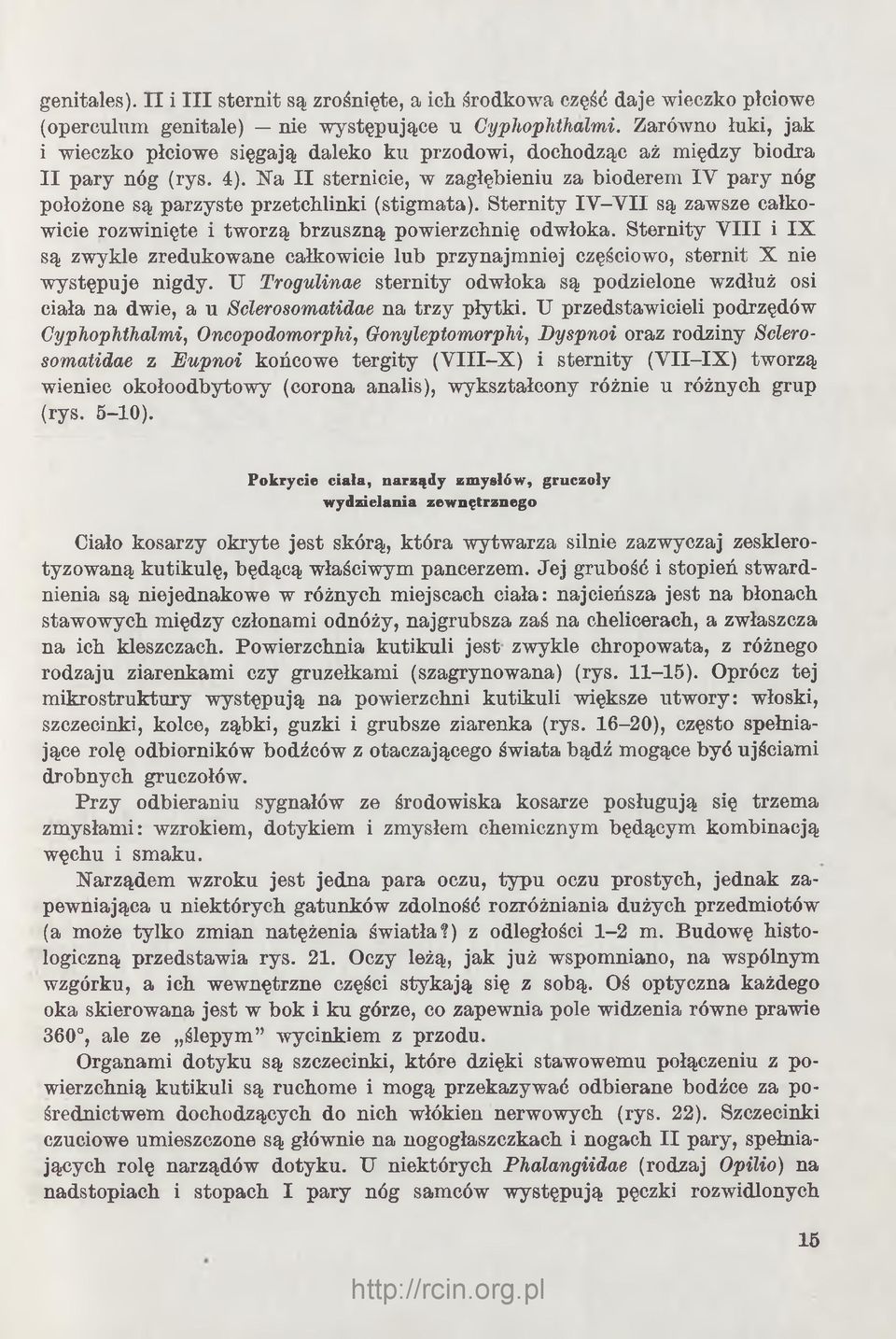 Na II sternicie, w zagłębieniu za bioderem IV pary nóg położone są parzyste przetchlinki (stigmata). Sternity IV -V II są zawsze całkowicie rozwinięte i tworzą brzuszną powierzchnię odwłoka.