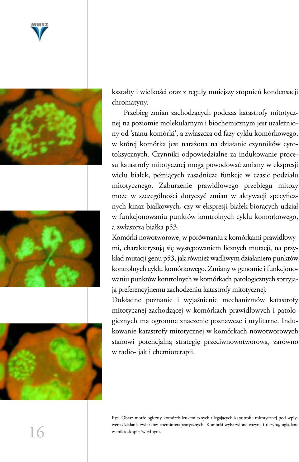 narażona na działanie czynników cytotoksycznych.