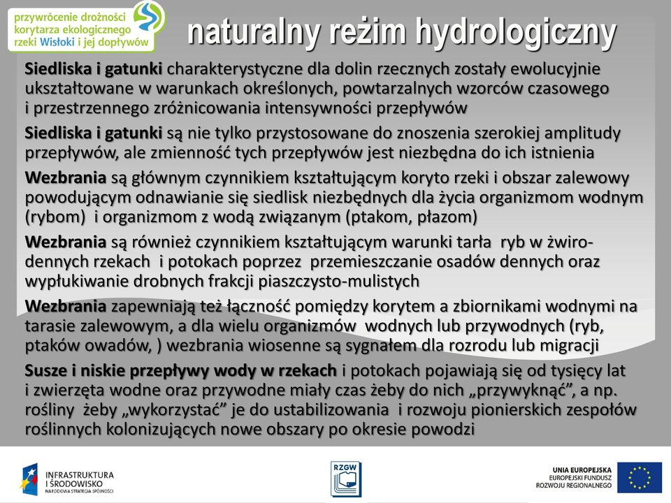 Wezbrania są głównym czynnikiem kształtującym koryto rzeki i obszar zalewowy powodującym odnawianie się siedlisk niezbędnych dla życia organizmom wodnym (rybom) i organizmom z wodą związanym (ptakom,