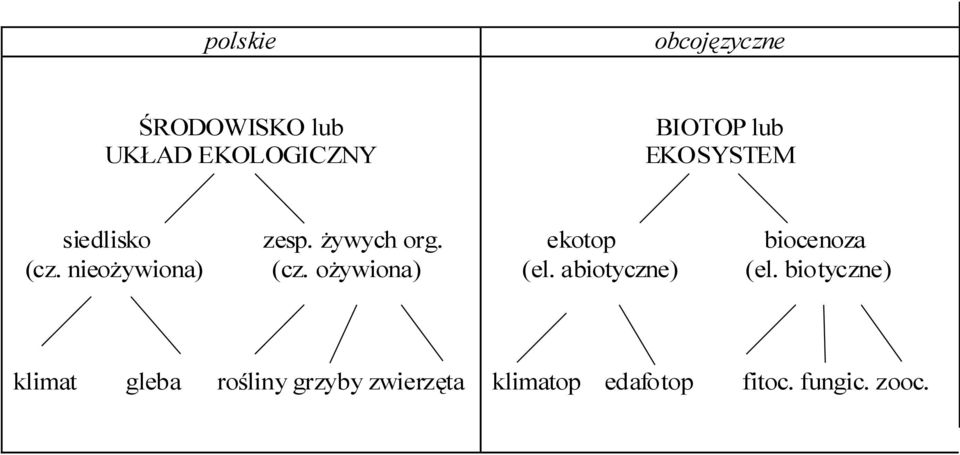 żywych org. (cz. ożywiona) rośliny grzyby zwierzęta ekotop (el.