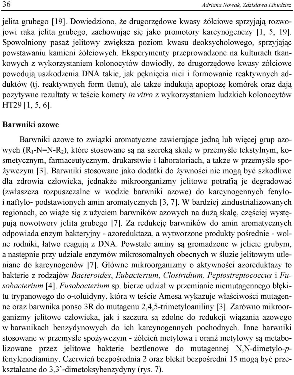 Eksperymenty przeprowadzone na kulturach tkankowych z wykorzystaniem kolonocytów dowiodły, że drugorzędowe kwasy żółciowe powodują uszkodzenia DNA takie, jak pęknięcia nici i formowanie reaktywnych