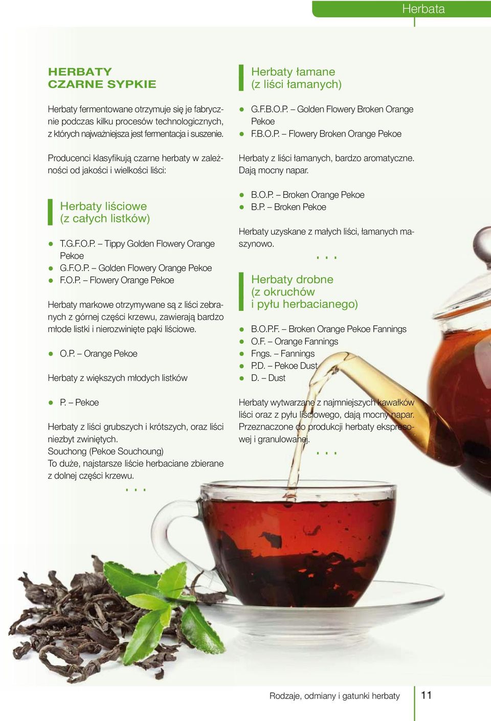 O.P. Flowery Orange Pekoe Herbaty markowe otrzymywane są z liści zebranych z górnej części krzewu, zawierają bardzo młode listki i nierozwinięte pąki liściowe. O.P. Orange Pekoe Herbaty z większych młodych listków P.