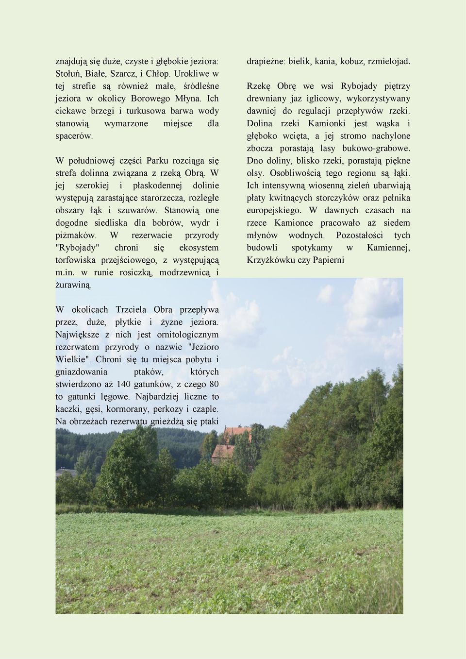 W jej szerokiej i płaskodennej dolinie występują zarastające starorzecza, rozległe obszary łąk i szuwarów. Stanowią one dogodne siedliska dla bobrów, wydr i piżmaków.