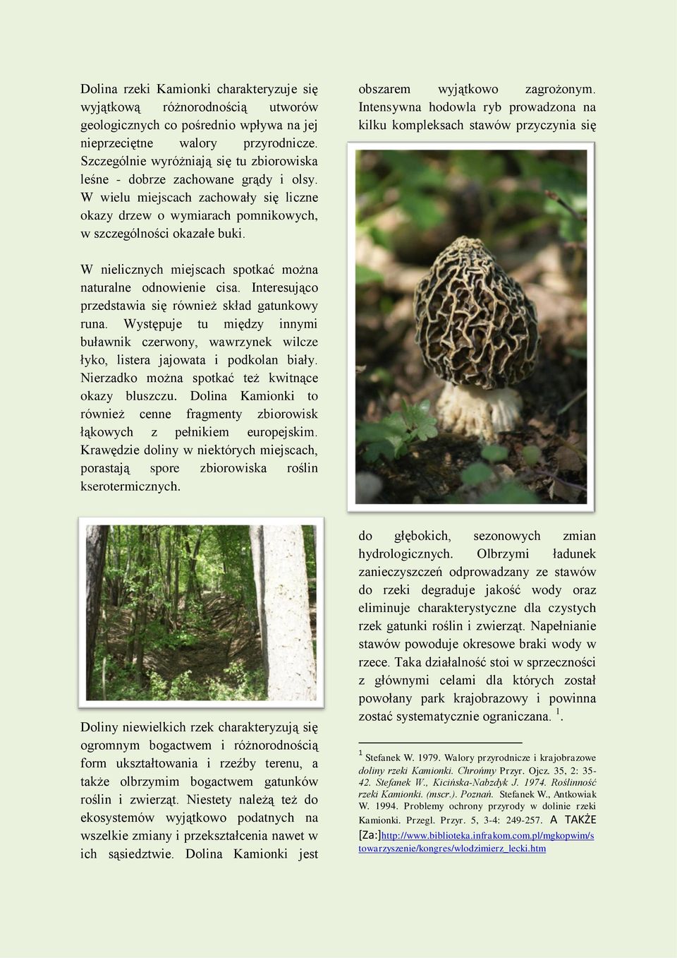 obszarem wyjątkowo zagrożonym. Intensywna hodowla ryb prowadzona na kilku kompleksach stawów przyczynia się W nielicznych miejscach spotkać można naturalne odnowienie cisa.